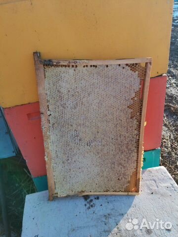 Кормовые рамки мед купить на Зозу.ру - фотография № 1