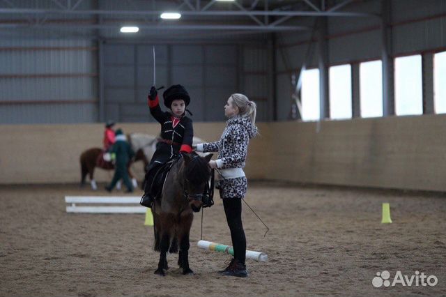 Шетландский пони, мерин купить на Зозу.ру - фотография № 6