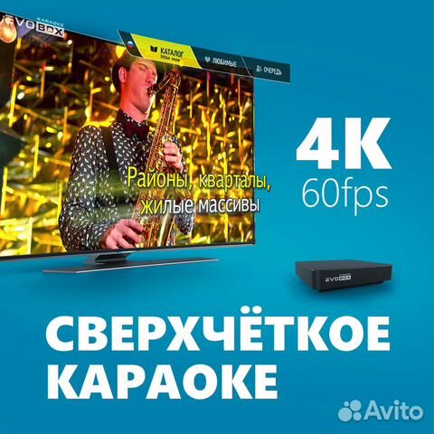 Караоке Evolution EvoBox Plus, подарок - ноутбук