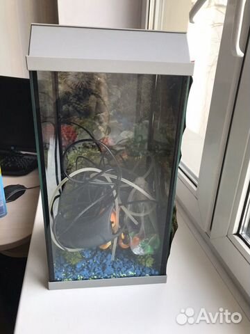 Новый аквариум террариум с полным комплектом Новый аквариум террариум с полным комплектом