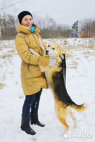Собака щенок Эви в дар купить на Зозу.ру - фотография № 2