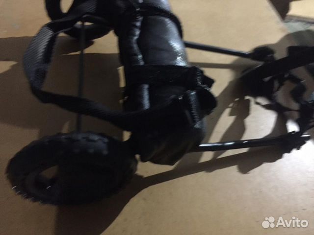 Инвалидная коляска для собак: такса, болонка, шпиц купить на Зозу.ру - фотография № 1