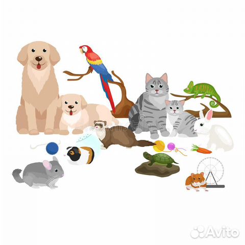 Корма для животных