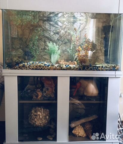 Аквариум с тумбой и рыбками Аквариум с тумбой и рыбками