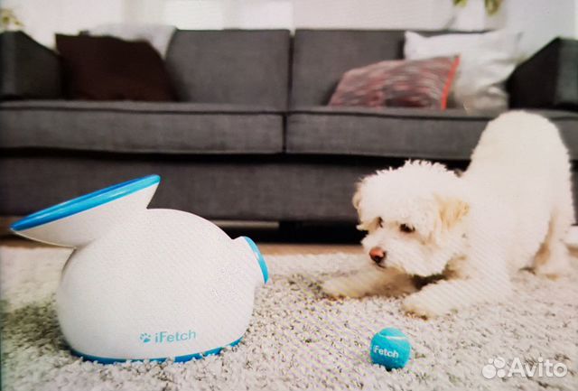 Катапульта iFetch игрушка для собак + 5 мячей