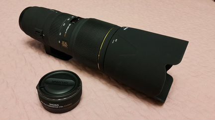 Sigma 100-300mm f/4 EX DG APO HSM и конвертер х1