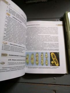 Учебники по биологии 10 и 11 к. А. В. Теремов, Р