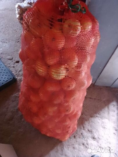 Лук на перо