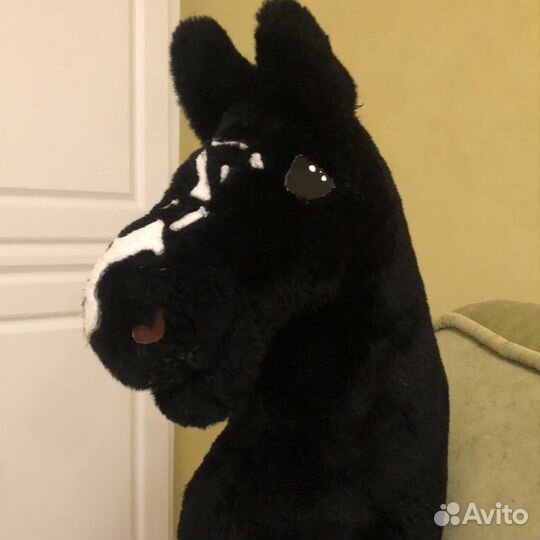 Хоббихорс на обмен