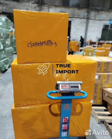 Надежно доставим из Китая/под ключ