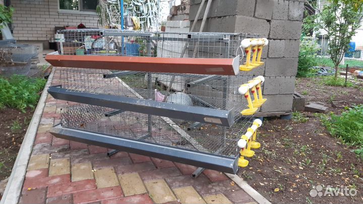 Клетки для перепелов бу