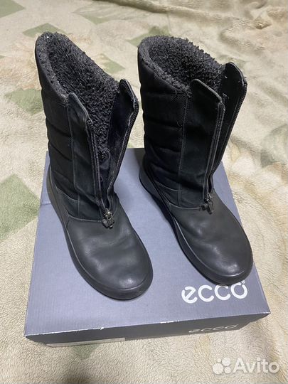 Сапоги ecco 35р