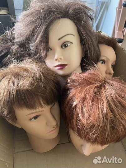 Учебная голова манекен