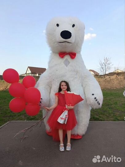 Белый Мишка