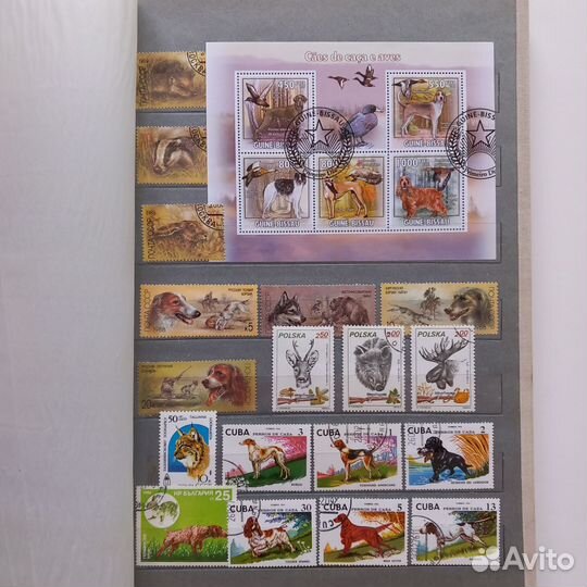 Почтовые марки и блоки фауна