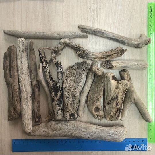 Дрифвуд, коряги, морские ракушки