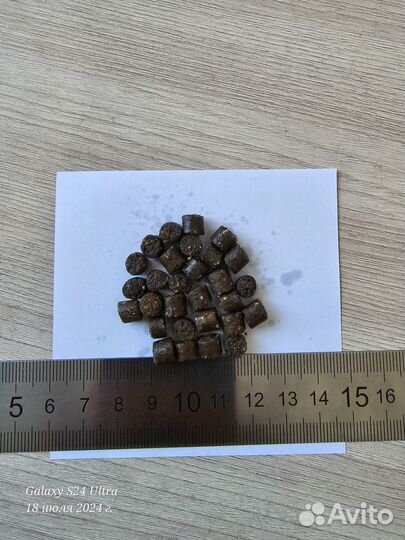 Корм для клариевого сома