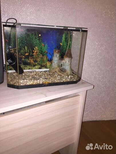 Аквариум