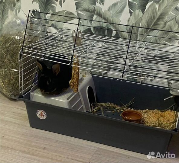 Клетка для кролика большая