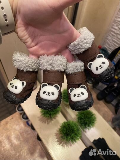 Обувь для собак