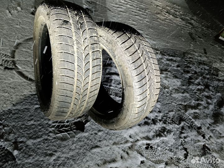 Tigar Winter A 20.5/55 R16 19