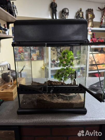 Террариум exo terra 30 на 30 на 30 + родная лампа