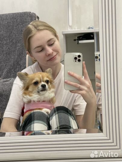 Выгул собак