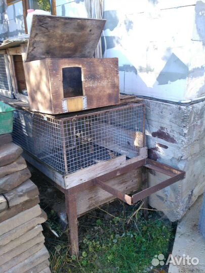 Клетки для кроликов и птицы
