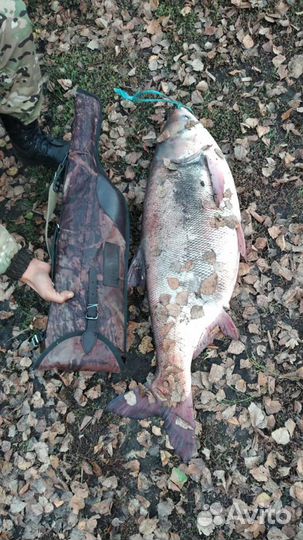 Платная рыбалка