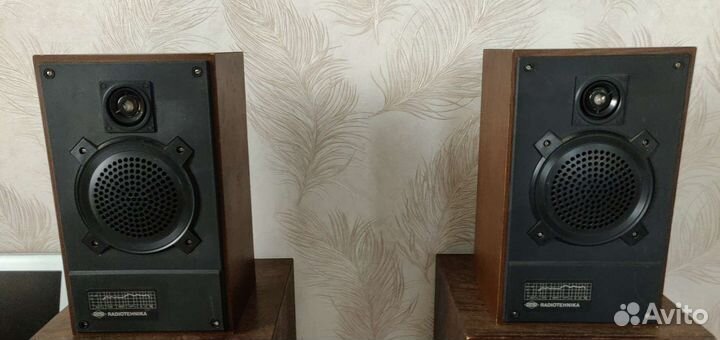 Колонки радиотехника S 20A