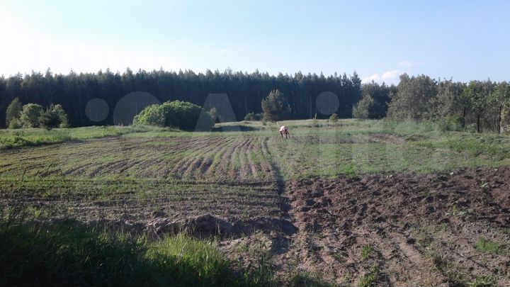 Участок 15 сот. (ИЖС)