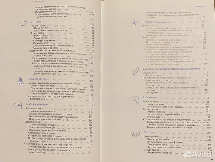 Узи внутренних органов