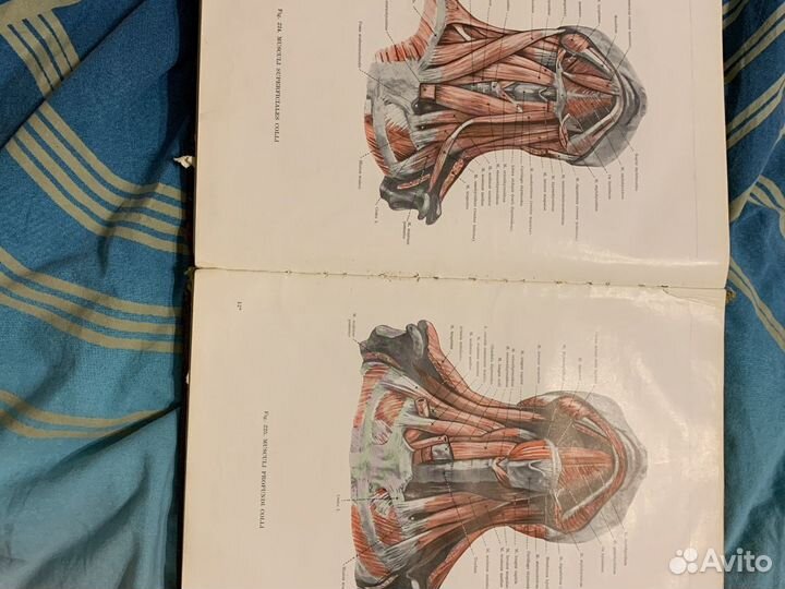 Анатомический атлас человеческого тела 1959 года