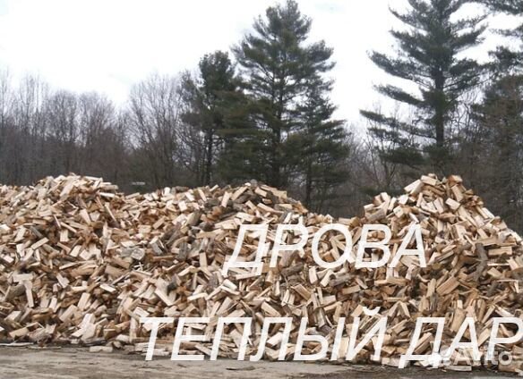 Дрова сухие