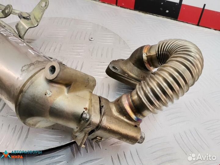 Охладитель EGR / Радиатор EGR Opel Signum C рест