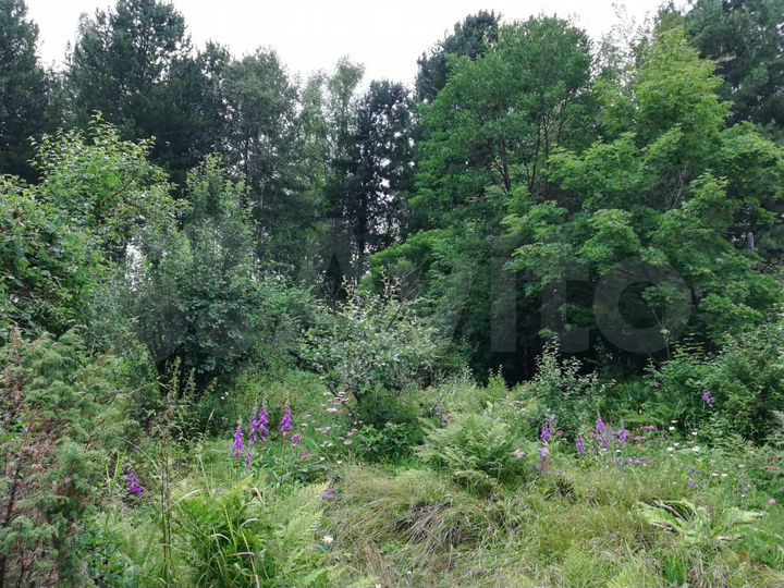 Участок 8 сот. (ИЖС)