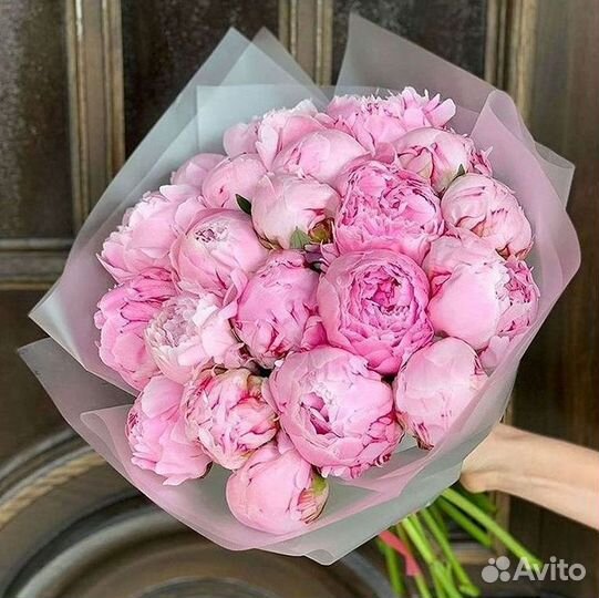 Пионы Цветы Доставка