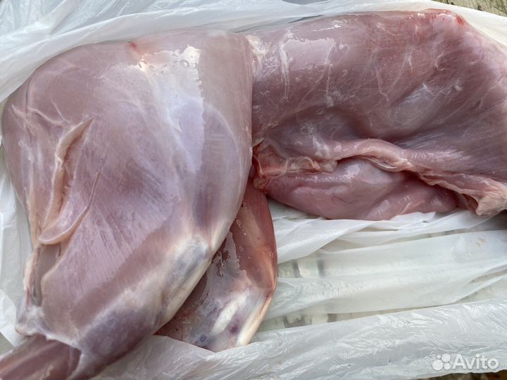 Продам мясо Кролика