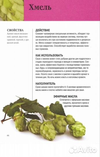 Шишки хмеля, 100 гр