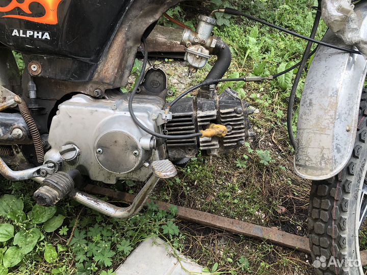 Продам альфу