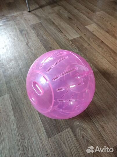 Шар для прогулки крыс