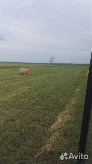 Сено люцерны в тюках