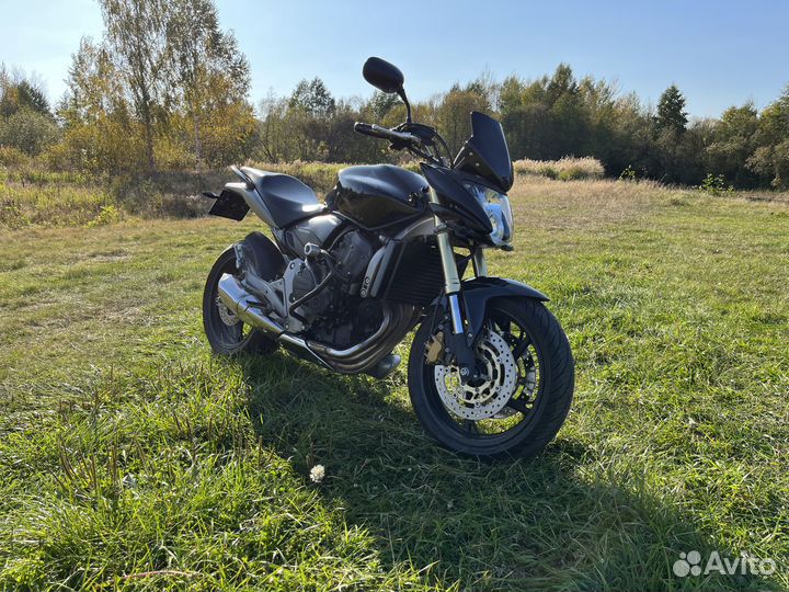 Honda cb 600 Hornet