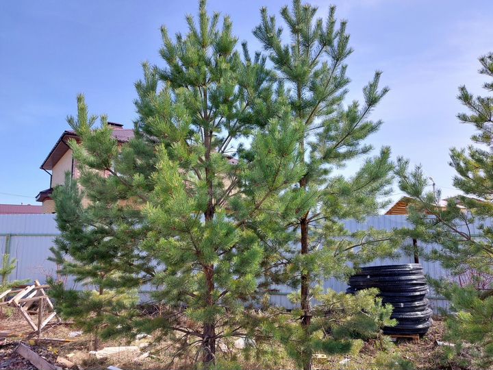 Дом 110 м² на участке 7 сот.