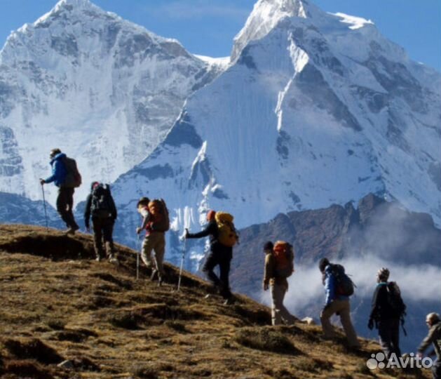 Ретриты, горы, туры