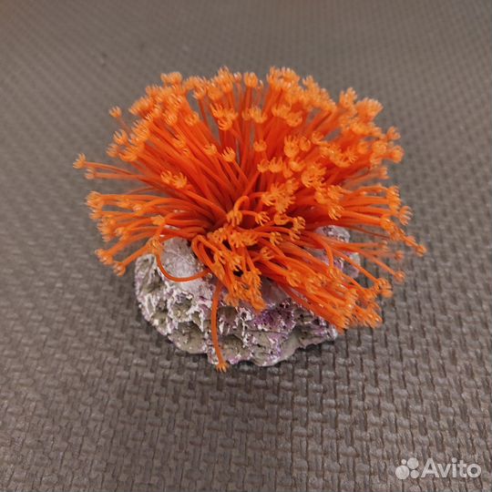 Декор для аквариума