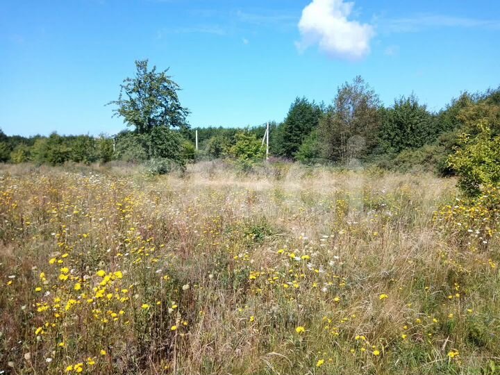 Участок 11,4 сот. (ИЖС)