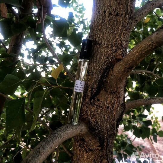 Женские духи Victoria’s Secret Rose Bergamot