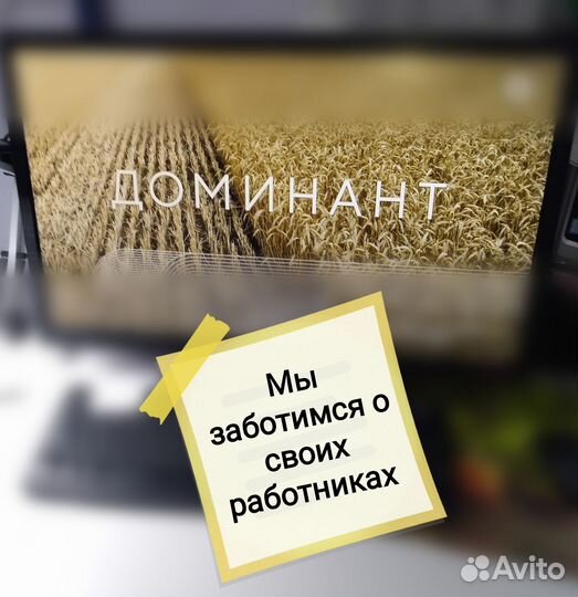 Пробоотборщик