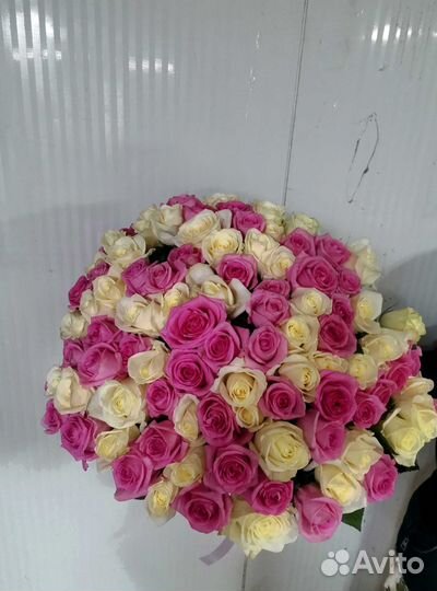 Розы букет цветов 101 роза